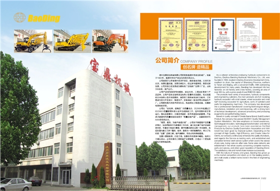 山東寶鼎挖掘機廠家