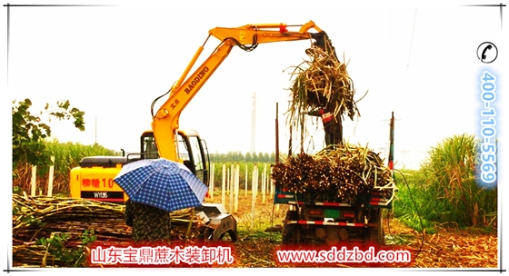 寶鼎蔗木裝卸機產品