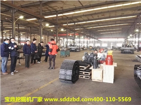 寶鼎小型挖掘機(jī)廠家