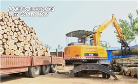 寶鼎反鏟式小型挖掘機(jī)械產(chǎn)品