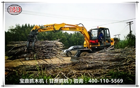 寶鼎抓木機（甘蔗抓機）裝卸甘蔗