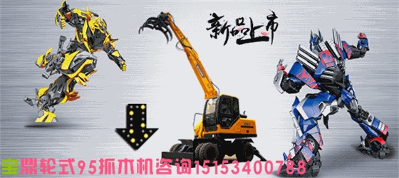 寶鼎抓木機(jī)抓甘蔗機(jī)