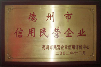【德州市民營企業(yè)】-寶鼎榮譽(yù)