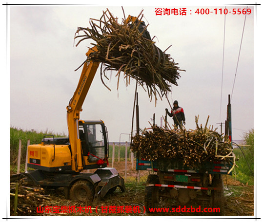 山東寶鼎抓木機（甘蔗抓裝機）產(chǎn)品