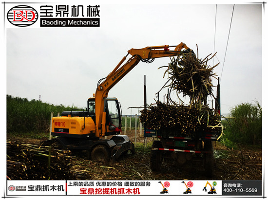 寶鼎抓木機廣西抓裝甘蔗作業(yè)圖片