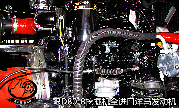 寶鼎80挖掘機進口洋馬發動機