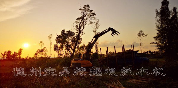 寶鼎抓木機(jī)高端品牌.jpg