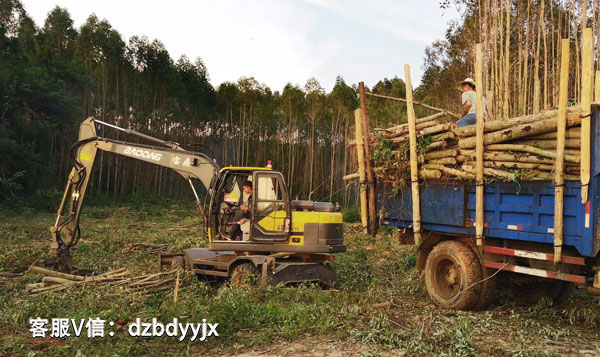 寶鼎95抓木機廣東作業(yè).jpg