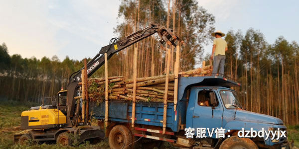寶鼎多功能輪式小挖機(jī)抓木機(jī).jpg