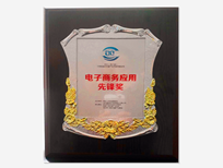 【電商應(yīng)用先鋒獎(jiǎng)】-寶鼎榮譽(yù)